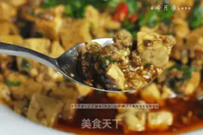Make Tofu step 17