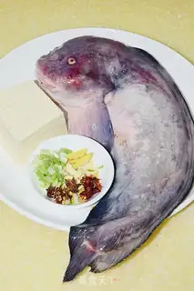 Make Tofu from the sea rabbit step 0
