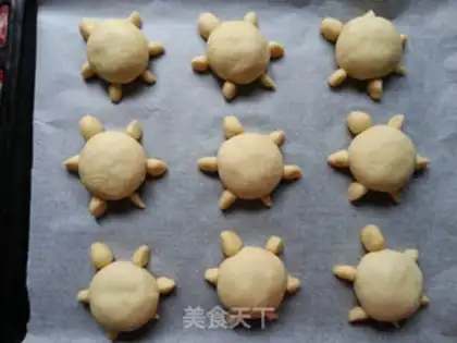 Make Little turtle loaf step 10