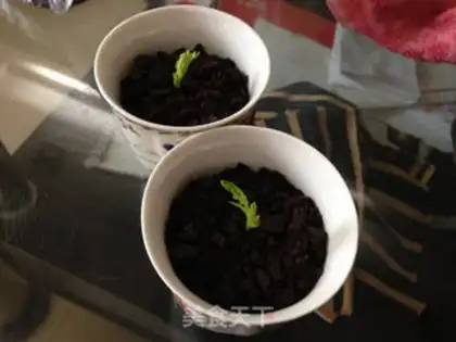 Make Milk evaporated egg plant step 8
