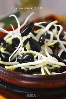 Make Homemade black bean sprouts step 9