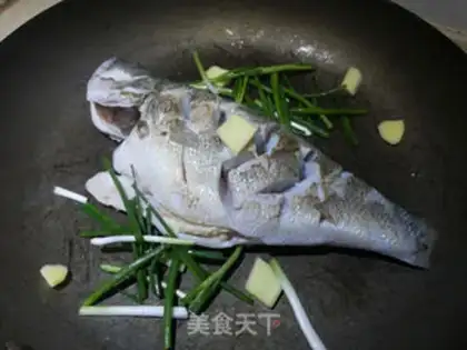 Make Squidfish step 5