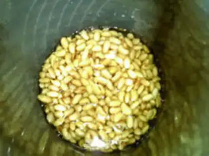 Make Chestnut apple soy step 3