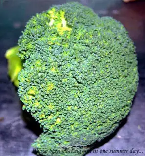 Make Shrimp broccoli step 0