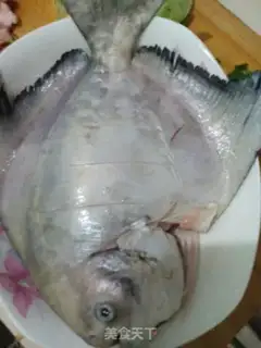 Make Squirtfish step 1