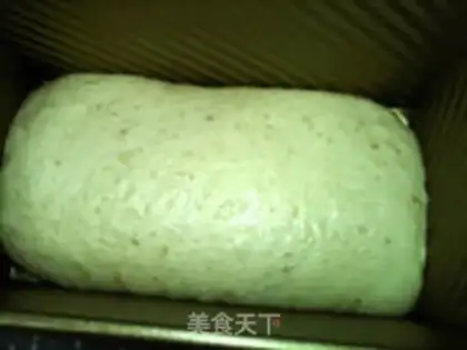 Make oatmeal soup for bread step 15
