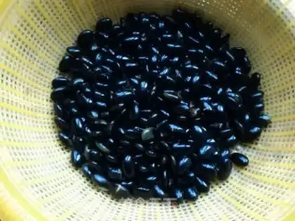 Make Homemade black bean sprouts step 2