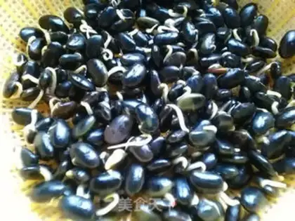 Make Homemade black bean sprouts step 6