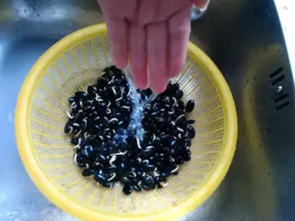 Make Homemade black bean sprouts step 7