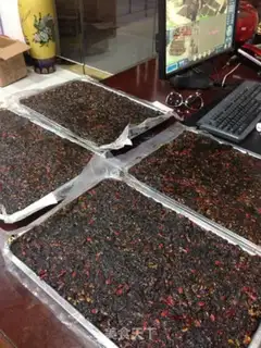 Make Ogurt step 7