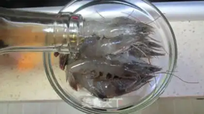 Make Shrimp congee step 2