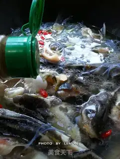 Make Squirty tofu step 14