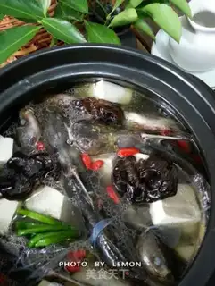 Make Squirty tofu step 16
