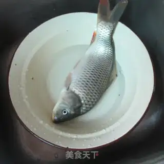 Make Pondfish step 0
