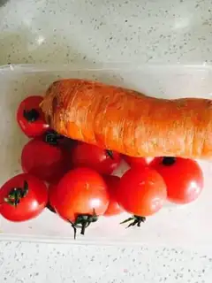 Make Rabbit step 0