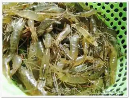 Make step 0