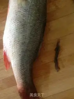 Make Vacuate herring step 0