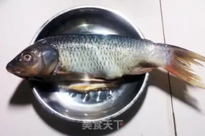 Make Carp open step 0