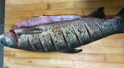 Make Scorched fish step 1