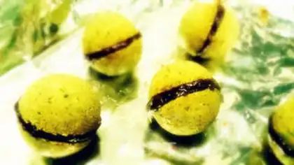 Make Black sesame cookies step 8