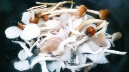 Make Twenty-seven labs - Fungus step 1