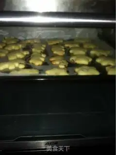 Make Cranberry cookies step 7