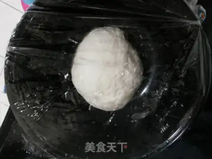 Make Handmade dumplings step 0