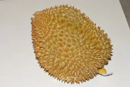 Make The durian mango cake step 7