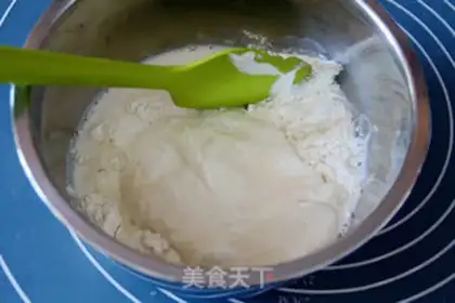 Make A natural yeast, Penny Toni step 2