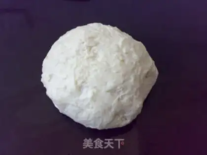 Make A natural yeast, Penny Toni step 12