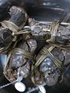 Make Crabs step 0