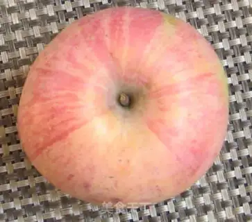 Make The fruit is stubbed step 1