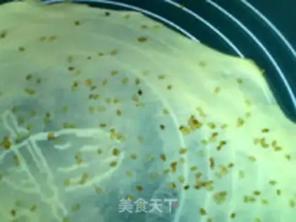 Make Sesame chip step 8