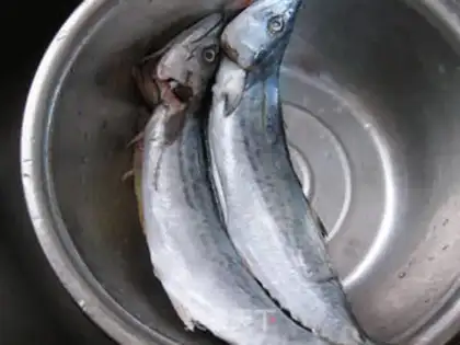 Make Red-burned mackerel step 1