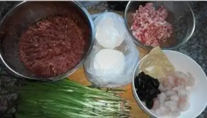 Make Meat dumplings step 0