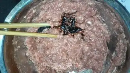 Make Meat dumplings step 1
