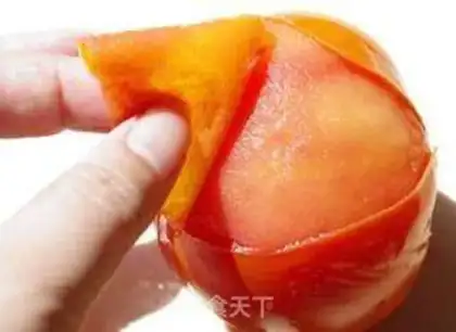 Make Tomato ice cream step 2