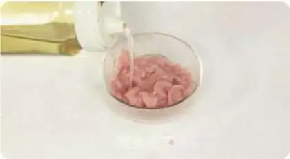 Make Home fish fragrance step 3