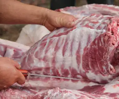 Make Bone sausage step 0