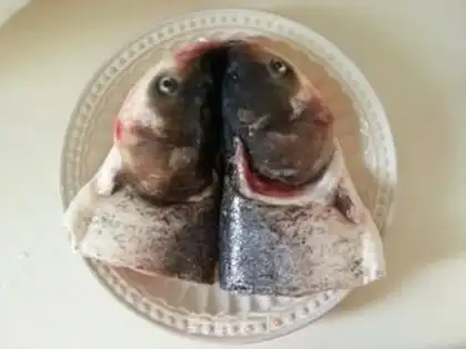 Make Pepper chopper head step 0