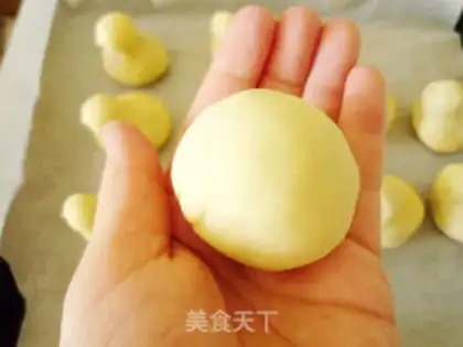Make Chicken step 16