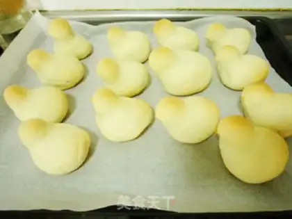 Make Chicken step 22