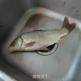 Make Garlic celery makes all the fish step 0