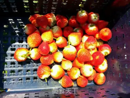 Make Ice cream strawberries step 1