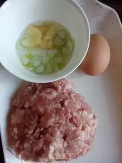 Make Homemade lunch meat step 0