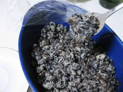 Make Black beans step 14