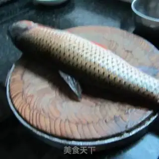 Make Squid fish step 0