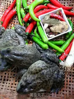 Make Iron Frog step 0