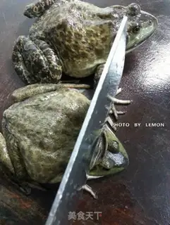 Make Iron Frog step 1