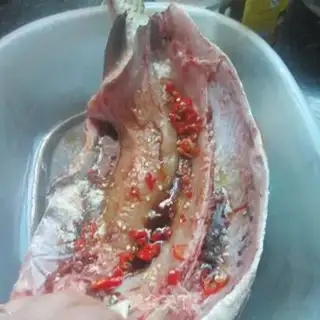 Make Jumping fish step 2